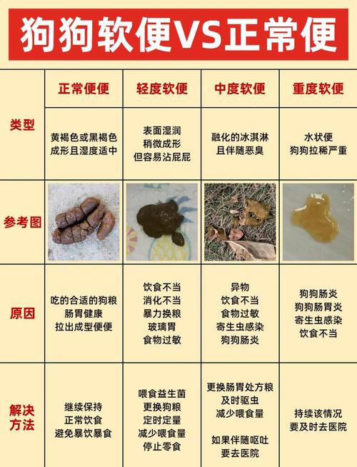 小狗常在门口便便，这吉凶如何判断呢？