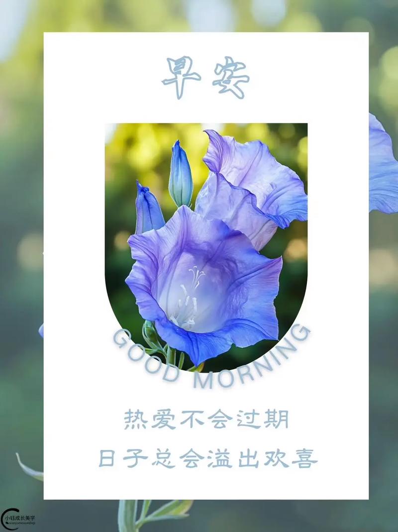 桂月指的是农历的哪个月份呢？