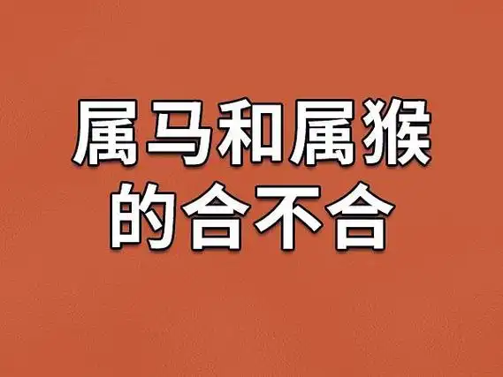 属猴和属马的合不合，他们的属相能配对吗？
