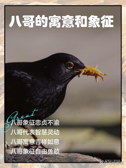 梦见哥哥预示着什么？是吉是凶？有什么特殊含义？