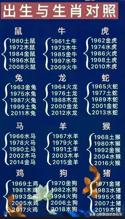2019年出生的宝宝属什么生肖？