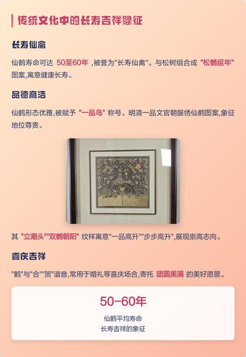 鹤的象征意义究竟包含了哪些深远的寓意？