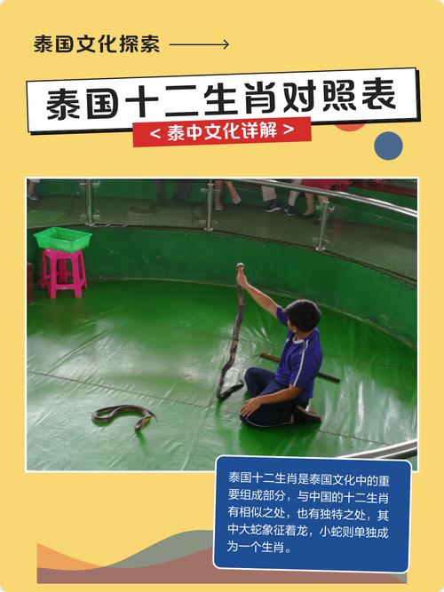 泰国十二生肖与中国有何不同之处？