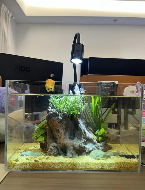 鱼缸在风水上究竟扮演着怎样的角色，对家居环境有何具体影响？