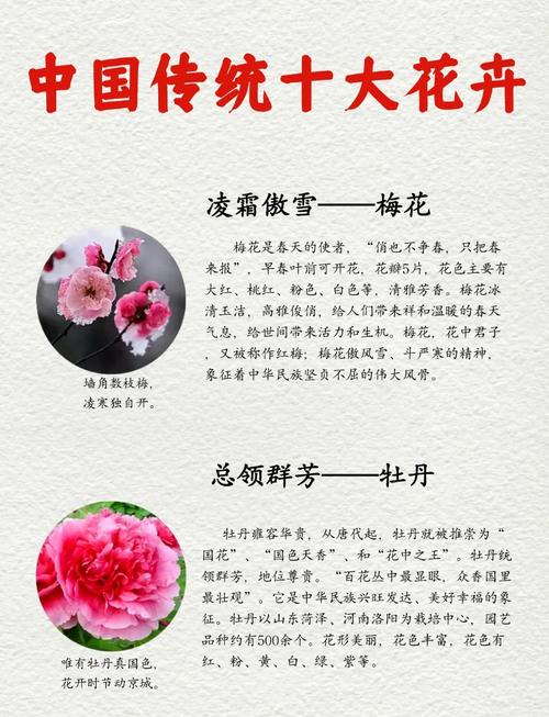 古代花名及其象征意义，你能详细解释一下吗？