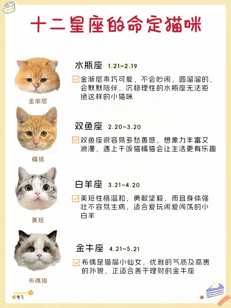 十二星座的专属宠物猫是什么每个星座都有自己独特的猫咪伙伴吗？