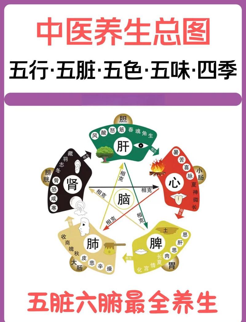 五行中肝对应的颜色是什么？