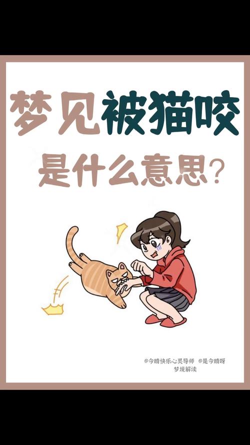 梦见家猫伤人是什么预兆？周公解梦中的猫伤人代表什么含义？