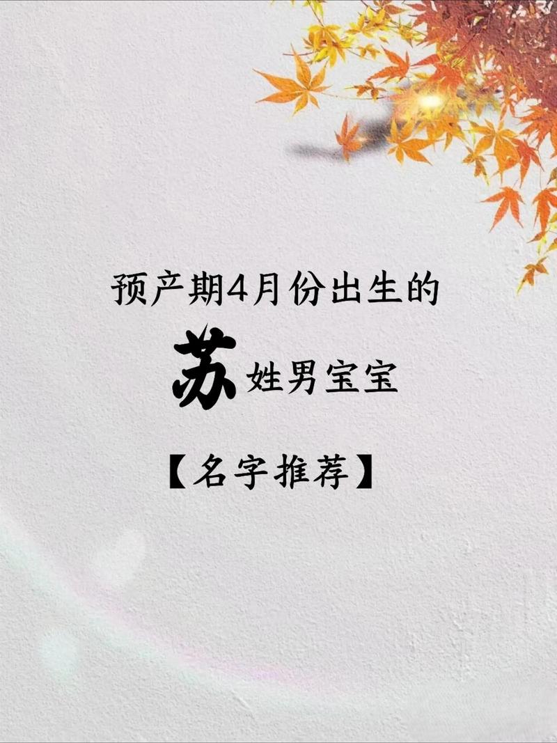 苏姓男孩取什么名字既霸气又好听？