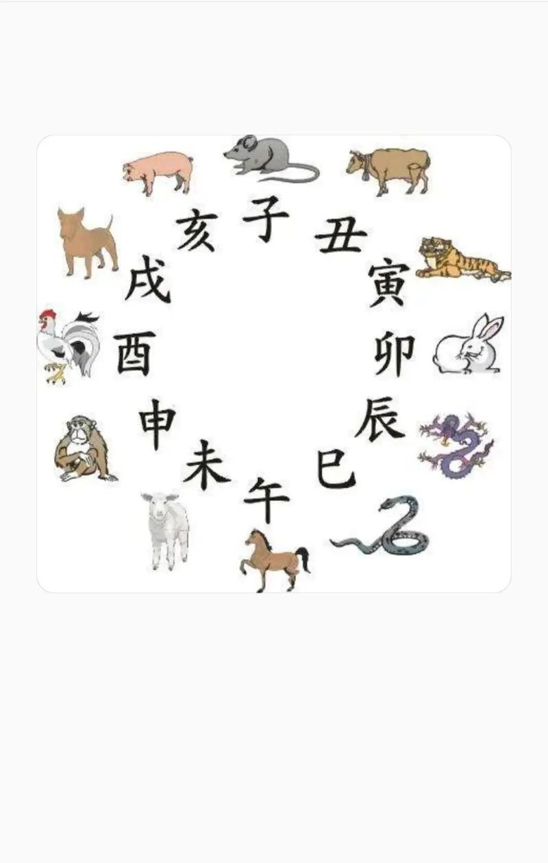 牛鬼蛇神合数指的是哪个生肖？