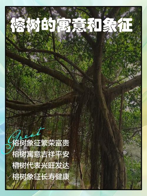 男人梦见栽树是什么寓意？周公解梦里栽树有什么特殊含义？