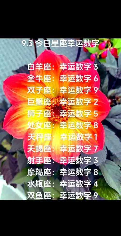 金牛座到底拥有哪个幸运号码，你知道吗？