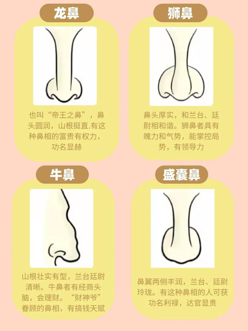鼻子扁平的人命运究竟如何，他们的生活轨迹和运势会怎样？