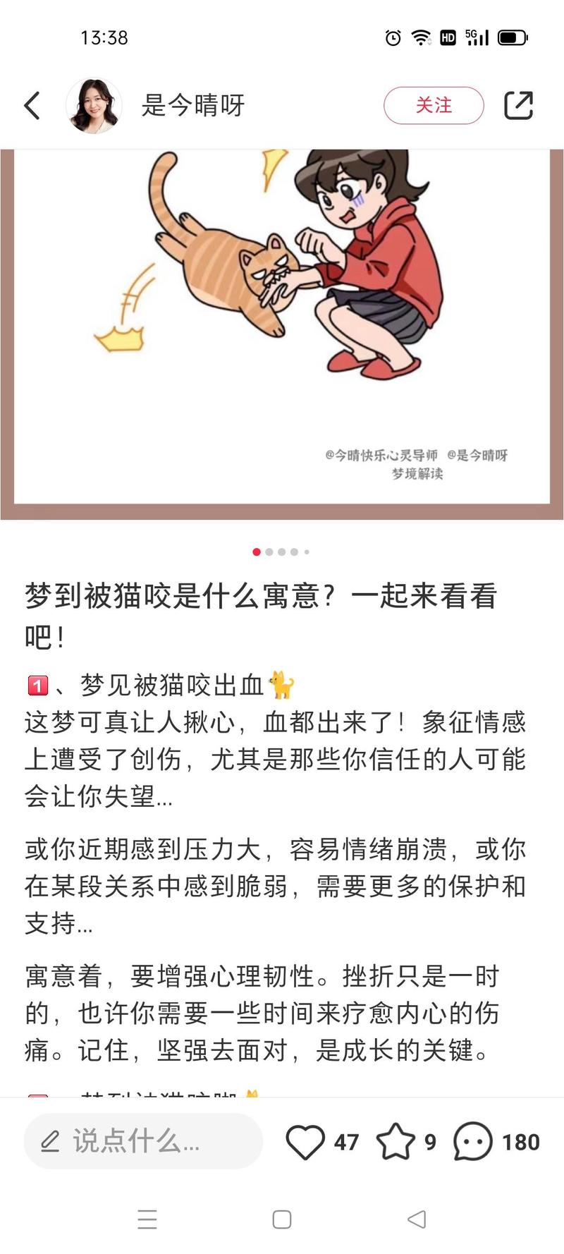 梦见家猫伤人是什么预兆？周公解梦中的猫伤人代表什么含义？