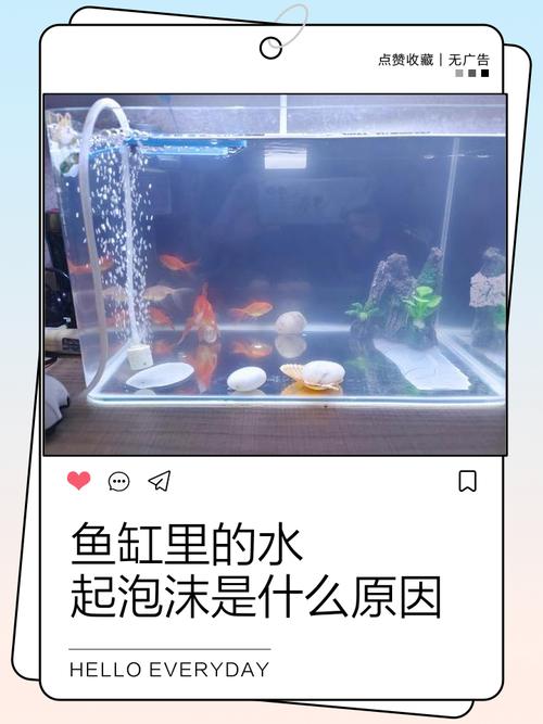 梦见家里鱼缸漏水是什么征兆，预示着什么不幸或变化？