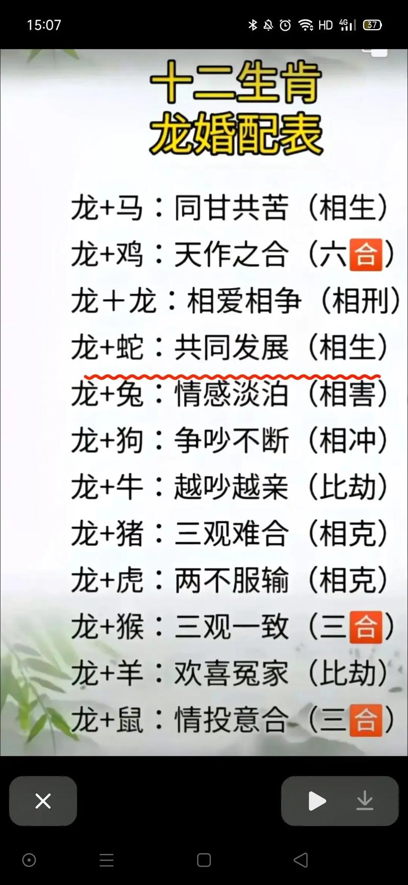 属龙的人与哪些生肖最为合得来？