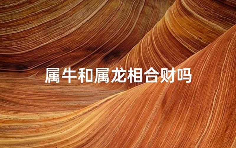 属龙和属牛合作财运会好吗？两者结合会有怎样的财运效应？