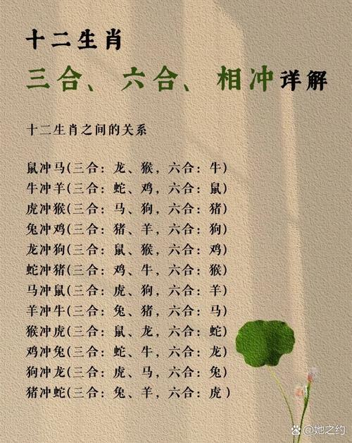 12生肖中猴年相冲的生肖是哪个？