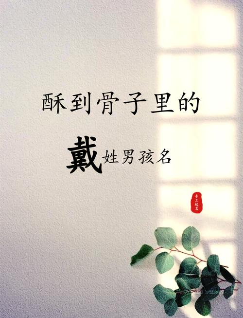 戴姓男孩名字有哪些取自诗经和楚辞的？