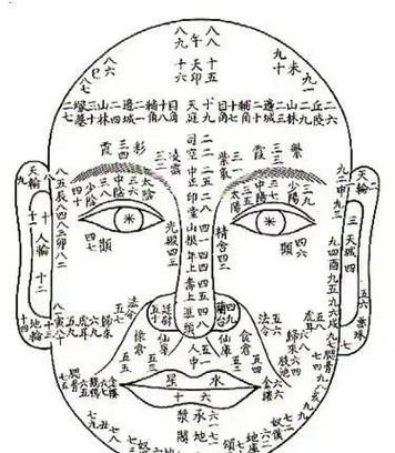 月牙脸的面相如何算是有弹性的好面相？