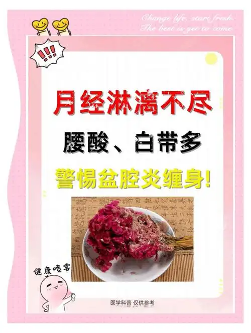 鸡冠花的花语及象征意义是什么？1001种寓意中，它代表了哪些美好象征？