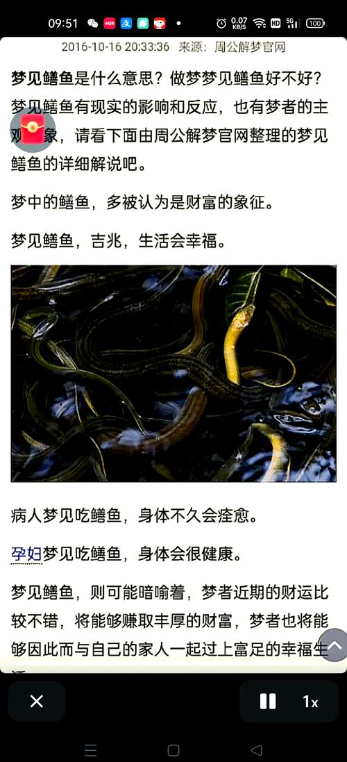 梦见又粗又长的大黄鳝有什么兆头或预兆寓意？