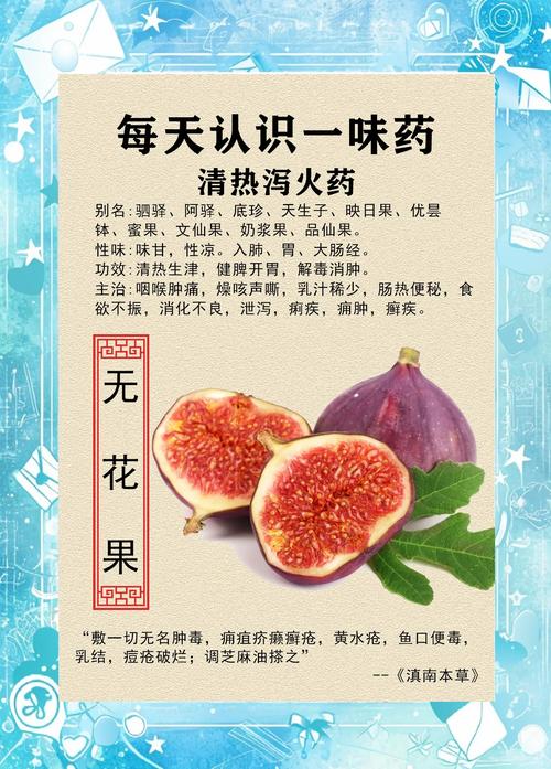 无花果的寓意究竟代表了哪些深层含义？