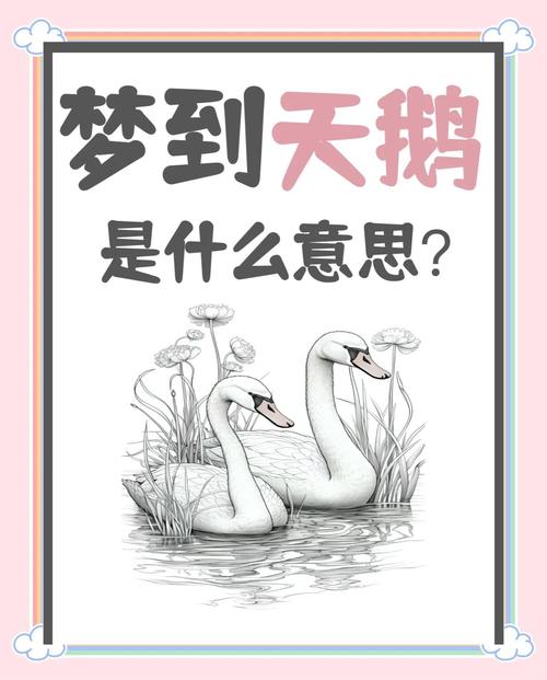 梦见两只鹅或大鹅预示着什么吉凶？