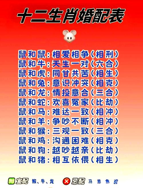 十二生肖夫妻相克表里哪些生肖组合容易产生矛盾呢？