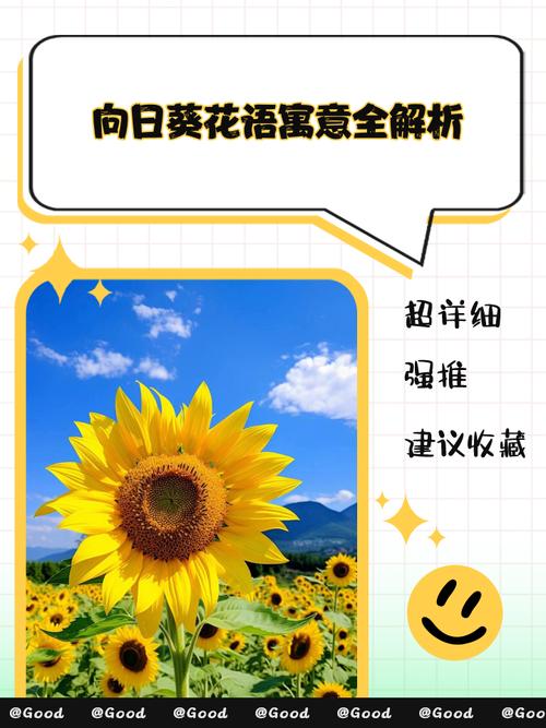 向日葵的花语和寓意具体代表什么深层含义？