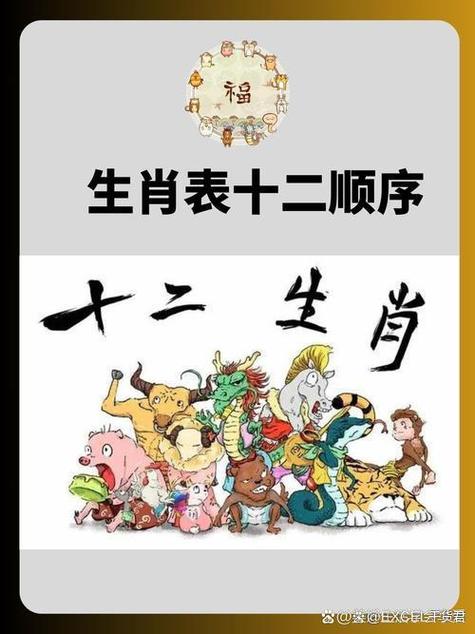哪些生肖属于火肖？
