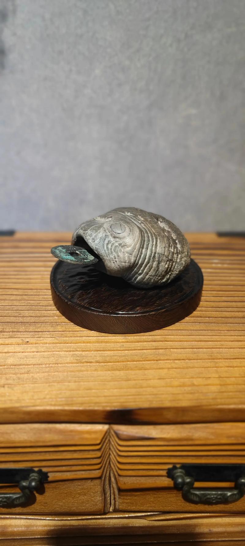 哪种动物会像抛砖引玉一样，用石头吸引其他动物注意？