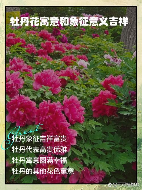 梦见鲜花盛开特别漂亮是什么吉兆？预示着什么好事发生？
