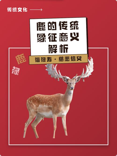 为什么开门见鹿被视为不吉利的象征，背后有什么特别的禁忌或传说？