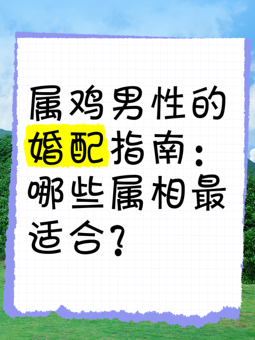 生肖鸡与哪个生肖蕞般配呢？