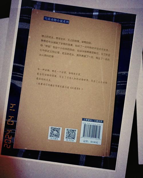 属兔的人适合养什么动物，嫩否纹个鹰作为？