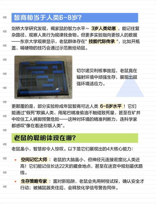 老鼠的智商相当于人类几岁，有没有什么方法可以人道地结束聪明老鼠的生命？