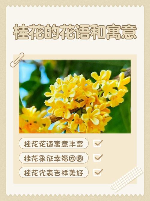 桂花象征的寓意具体代表着哪些深层意义？