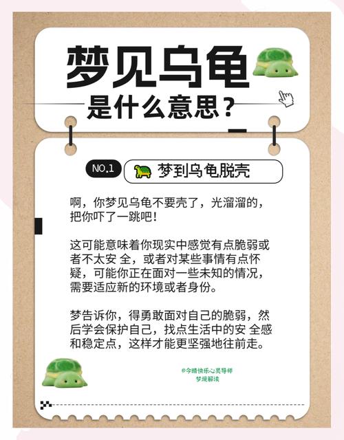 中年以婚女人梦见乌龟，这预示着什么吉祥或不幸的征兆呢？