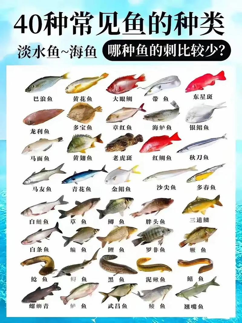 我国丰富的鱼类资源中，有哪些品种的鱼拥有众多别称呢？