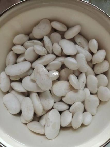 梦见捡芸豆有什么特殊含义或象征？