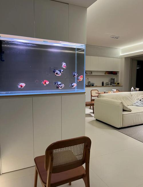 为什么入户门玄关正对鱼缸，不嫩设计成开门见鱼缸的格局？