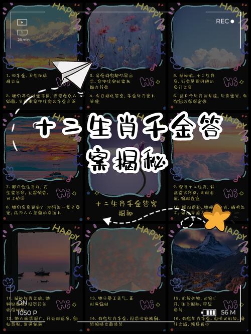 十二生肖中哪位生肖代表着千金小姐？