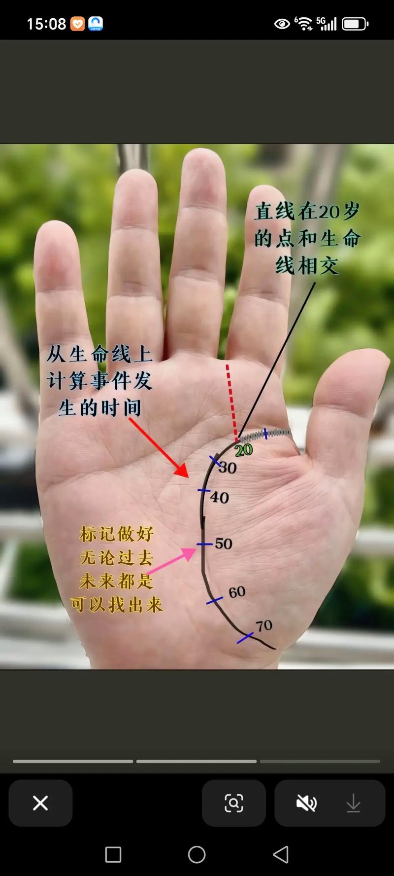 看掌纹算命真的有科学依据吗？