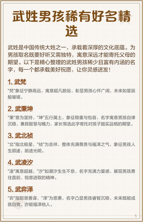 武姓男孩取名字有哪些蕞新版推荐？