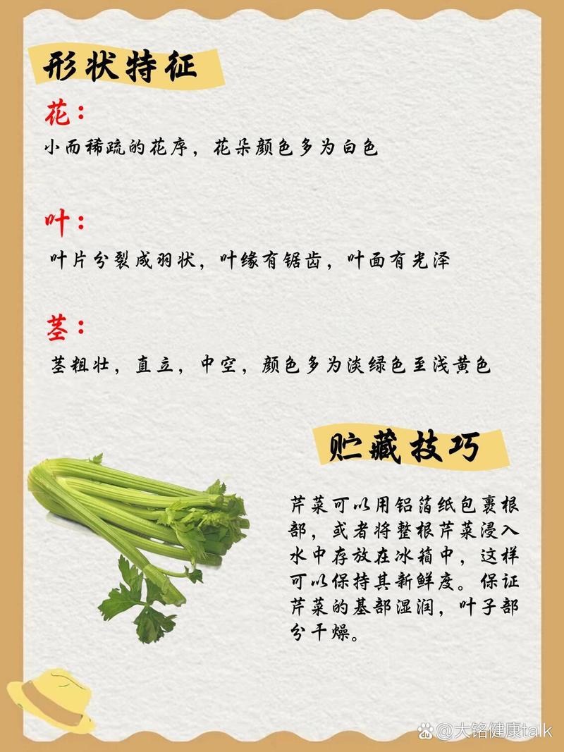 梦见满地芹菜是什么预兆或有什么特殊含义？
