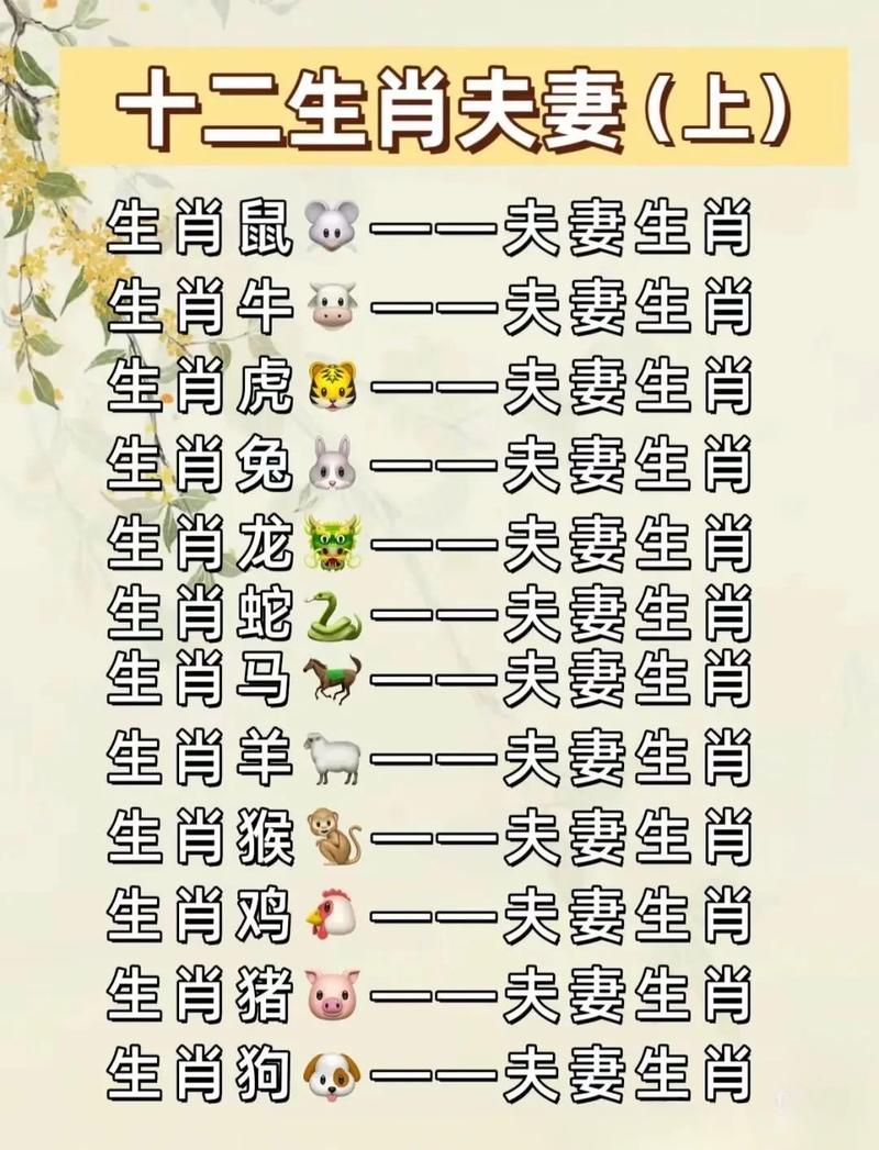伴侣的生肖是哪个？想知道我的配偶属什么属相？