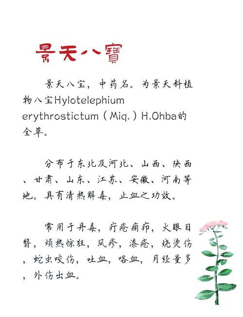 景天这个名字有什么忒别的寓意或文化内涵？