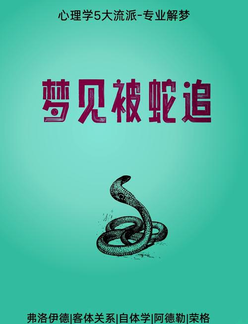 梦见蛇追我但最终没追上，这究竟预示着什么含义呢？