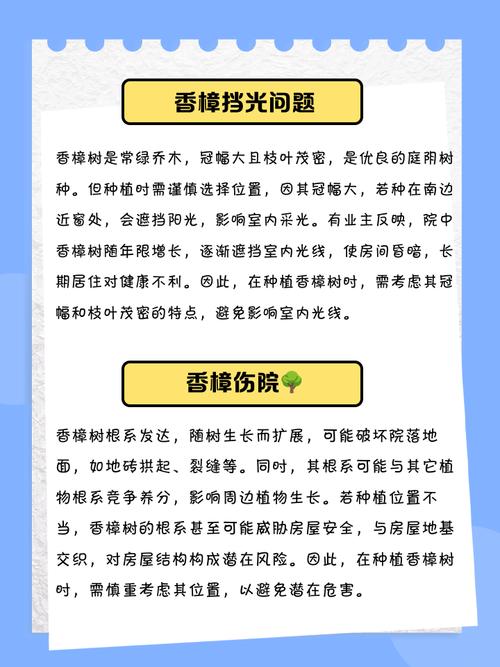 小区里的香樟树离居民楼太近，会有哪些不利后果呢？